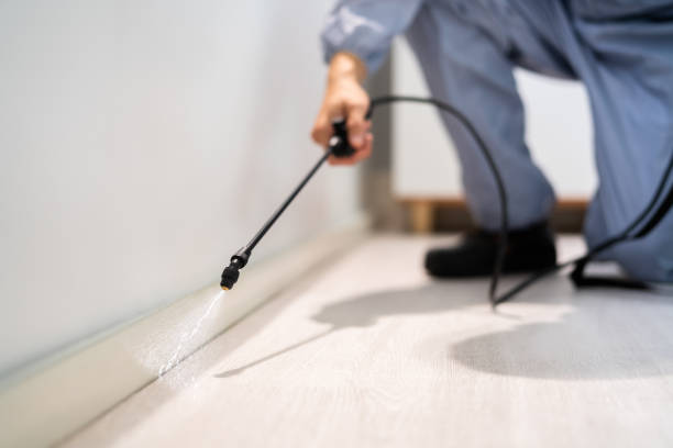 Licensed Cockroach Control service in Coal Grove, OH - Nex Pest Control