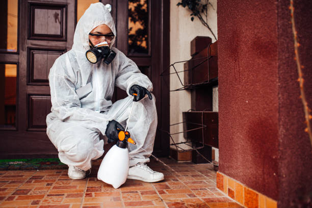 Reliable Cockroach Control contractor in Coal Grove, OH by Nex Pest Control
